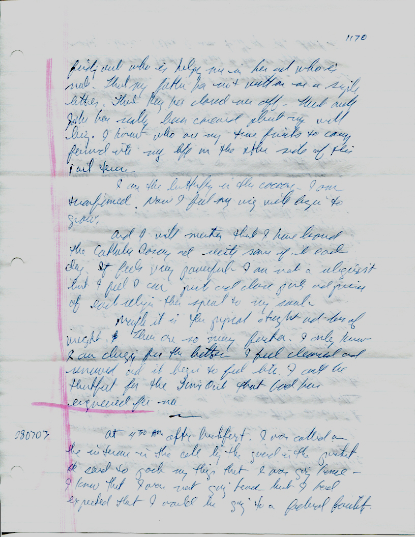 Dr John WorldPeace 2008 Prison Journal